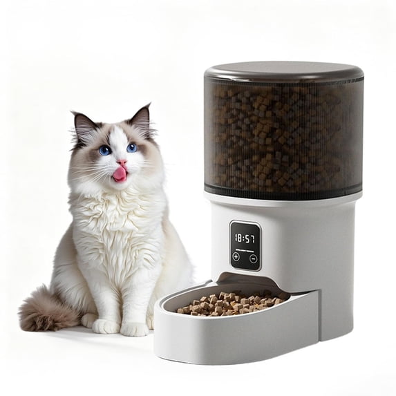 Photo inspiration: Visual Reference: The Best Automatic Cat Feeders