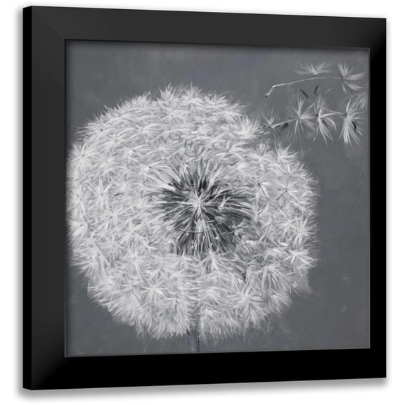 Atelier B Art Studio 12x12 Black Modern Framed Museum Art Print Titled - Blowing Dandelion