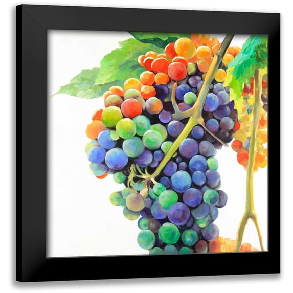 Atelier B Art Studio 12x12 Black Modern Framed Museum Art Print Titled - Colorful Bunch of Grapes