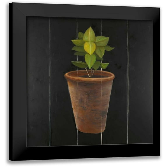 Atelier B Art Studio 12x12 Black Modern Framed Museum Art Print Titled - Plant of Bay Leaves