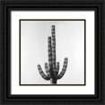 thumbnail image 1 of Atelier B Art Studio 12x12 Black Ornate Wood Framed with Double Matting Museum Art Print Titled - Cactus, 1 of 4