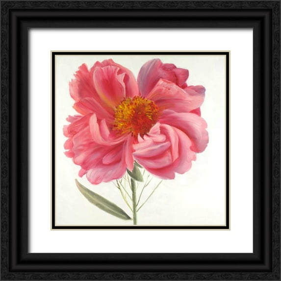 Atelier B Art Studio 12x12 Black Ornate Wood Framed with Double Matting Museum Art Print Titled - Pink Peony Flower