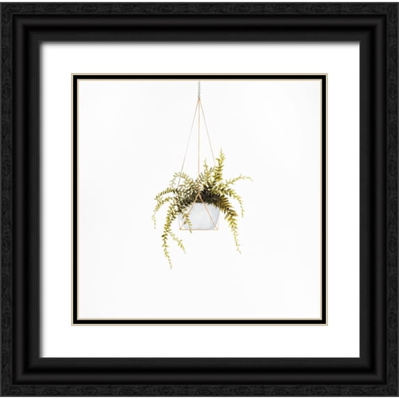 Atelier B Art Studio 12x12 Black Ornate Wood Framed with Double Matting Museum Art Print Titled - SUSPENDED FERN