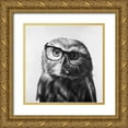thumbnail image 1 of Atelier B Art Studio 12x12 Gold Ornate Wood Framed with Double Matting Museum Art Print Titled - Realistic Northern Saw-whet Owl with Glasses, 1 of 4