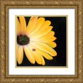 thumbnail image 1 of Atelier B Art Studio 12x12 Gold Ornate Wood Framed with Double Matting Museum Art Print Titled - Yellow Daisy and Ladybug, 1 of 4