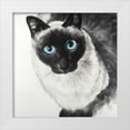 thumbnail image 1 of Atelier B Art Studio 12x12 White Modern Wood Framed Museum Art Print Titled - Blue Eyes Siamese Cat, 1 of 4