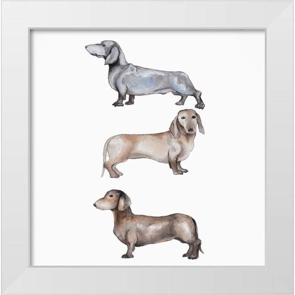 Atelier B Art Studio 12x12 White Modern Wood Framed Museum Art Print Titled - Three Daschund Dogs