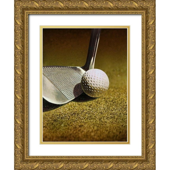 Atelier B Art Studio 14x18 Gold Ornate Wood Framed with Double Matting Museum Art Print Titled - GOLF CLOSEUP