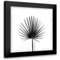 thumbnail image 1 of Atelier B Art Studio 15x15 Black Modern Framed Museum Art Print Titled - CABBAGE PALM LEAF WITH ROSE LINES, 1 of 5
