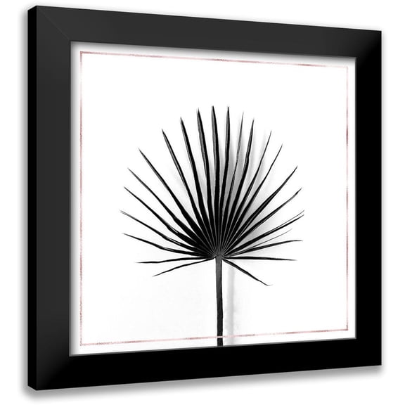 Atelier B Art Studio 15x15 Black Modern Framed Museum Art Print Titled - CABBAGE PALM LEAF WITH ROSE LINES