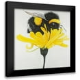 thumbnail image 1 of Atelier B Art Studio 15x15 Black Modern Framed Museum Art Print Titled - Hungry Bumblebee on a Dandelion, 1 of 5