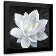 thumbnail image 1 of Atelier B Art Studio 15x15 Black Modern Framed Museum Art Print Titled - Overhead View of a Lotus Flower, 1 of 5