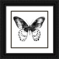 thumbnail image 1 of Atelier B Art Studio 15x15 Black Ornate Wood Framed with Double Matting Museum Art Print Titled - BLACK BUTTERFLY, 1 of 4