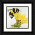 thumbnail image 1 of Atelier B Art Studio 15x15 Black Ornate Wood Framed with Double Matting Museum Art Print Titled - Bumblebee on a Dandelion, 1 of 4