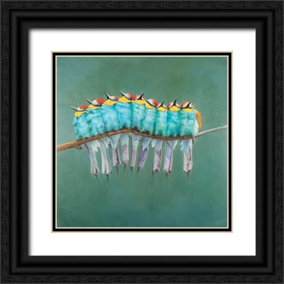 Atelier B Art Studio 15x15 Black Ornate Wood Framed with Double Matting Museum Art Print Titled - Bunch of Birds on a Branch