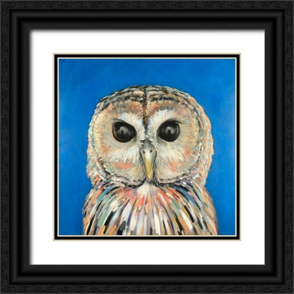 Atelier B Art Studio 15x15 Black Ornate Wood Framed with Double Matting Museum Art Print Titled - Colorful Spotted Owl