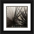 thumbnail image 1 of Atelier B Art Studio 15x15 Black Ornate Wood Framed with Double Matting Museum Art Print Titled - GRAYSCALE TROPICAL PLANTS, 1 of 4