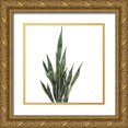 thumbnail image 1 of Atelier B Art Studio 15x15 Gold Ornate Wood Framed with Double Matting Museum Art Print Titled - SNAKE PLANT, 1 of 4