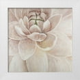 thumbnail image 1 of Atelier B Art Studio 15x15 White Modern Wood Framed Museum Art Print Titled - Delicate Chrysanthemum, 1 of 4