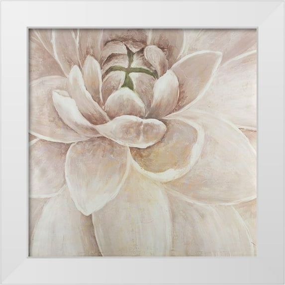 Atelier B Art Studio 15x15 White Modern Wood Framed Museum Art Print Titled - Delicate Chrysanthemum
