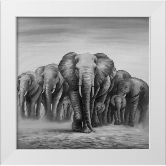 Atelier B Art Studio 15x15 White Modern Wood Framed Museum Art Print Titled - Herd Elephants