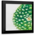 thumbnail image 1 of Atelier B Art Studio 20x20 Black Modern Framed Museum Art Print Titled - Watercolor Mini Cactus, 1 of 5