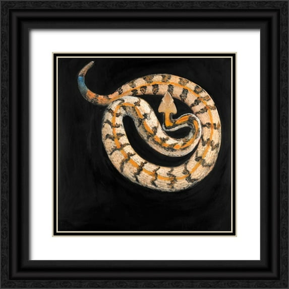 Atelier B Art Studio 20x20 Black Ornate Wood Framed with Double Matting Museum Art Print Titled - Snake Coiled