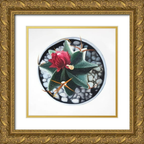 Atelier B Art Studio 20x20 Gold Ornate Wood Framed with Double Matting Museum Art Print Titled - CACTUS IN POT