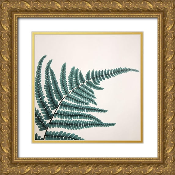 Atelier B Art Studio 20x20 Gold Ornate Wood Framed with Double Matting Museum Art Print Titled - FERN