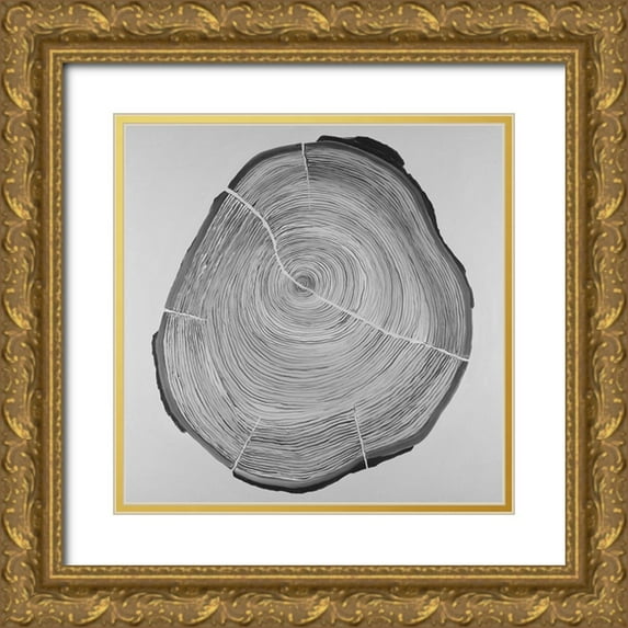 Atelier B Art Studio 20x20 Gold Ornate Wood Framed with Double Matting Museum Art Print Titled - Grayscale Oval Shaped Tree Slab
