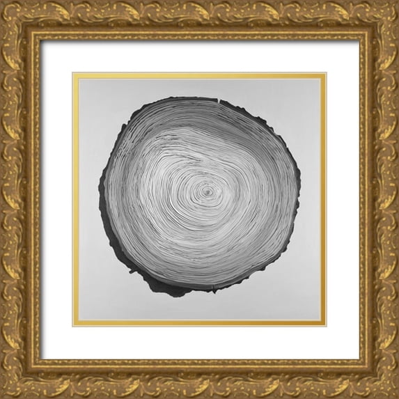 Atelier B Art Studio 20x20 Gold Ornate Wood Framed with Double Matting Museum Art Print Titled - Grayscale Round Shaped Tree Slab