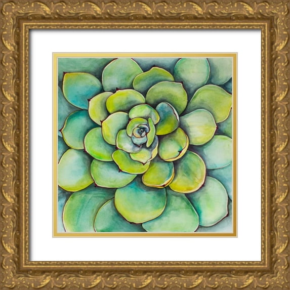 Atelier B Art Studio 20x20 Gold Ornate Wood Framed with Double Matting Museum Art Print Titled - Watercolor Succulent Plant
