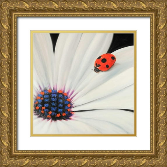Atelier B Art Studio 20x20 Gold Ornate Wood Framed with Double Matting Museum Art Print Titled - White Daisy and Ladybug