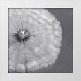 thumbnail image 1 of Atelier B Art Studio 20x20 White Modern Wood Framed Museum Art Print Titled - Dandelion Puff Ball, 1 of 4