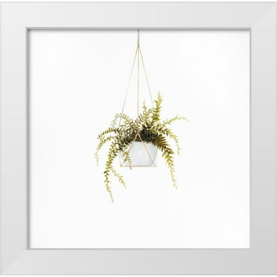 Atelier B Art Studio 20x20 White Modern Wood Framed Museum Art Print Titled - SUSPENDED FERN