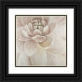 thumbnail image 1 of Atelier B Art Studio 26x26 Black Ornate Wood Framed with Double Matting Museum Art Print Titled - Delicate Chrysanthemum, 1 of 4