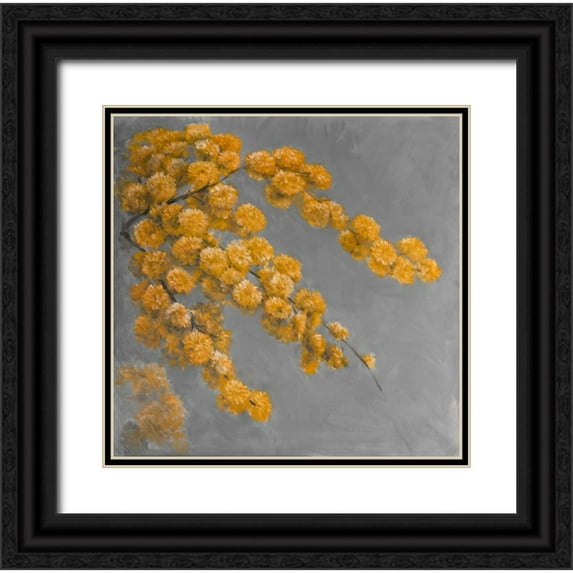Atelier B Art Studio 26x26 Black Ornate Wood Framed with Double Matting Museum Art Print Titled - Golden Wattle Plant with Flowers