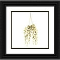 thumbnail image 1 of Atelier B Art Studio 26x26 Black Ornate Wood Framed with Double Matting Museum Art Print Titled - HANGING PLANT, 1 of 4