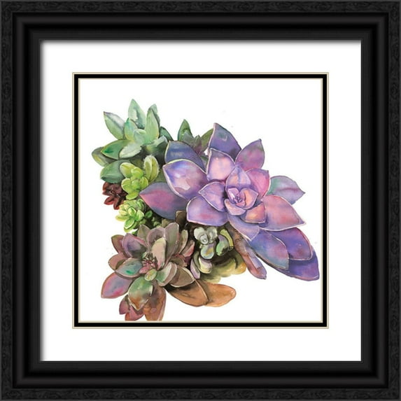 Atelier B Art Studio 26x26 Black Ornate Wood Framed with Double Matting Museum Art Print Titled - SUCCULENT PLANT