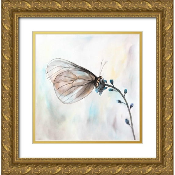 Atelier B Art Studio 26x26 Gold Ornate Wood Framed with Double Matting Museum Art Print Titled - Aporia Crataegi Butterfly