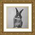 thumbnail image 1 of Atelier B Art Studio 26x26 Gold Ornate Wood Framed with Double Matting Museum Art Print Titled - FUNNY GRAY RABBIT, 1 of 4