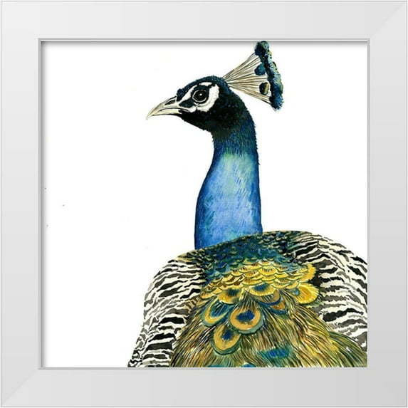 Atelier B Art Studio 26x26 White Modern Wood Framed Museum Art Print Titled - WATERCOLOR PEACOCK