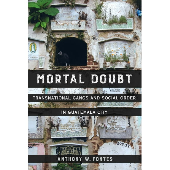 Atelier: Ethnographic Inquiry in the Twe Mortal Doubt: Transnational Gangs and Social Order in Guatemala City Volume 1, Book 1, (Paperback)