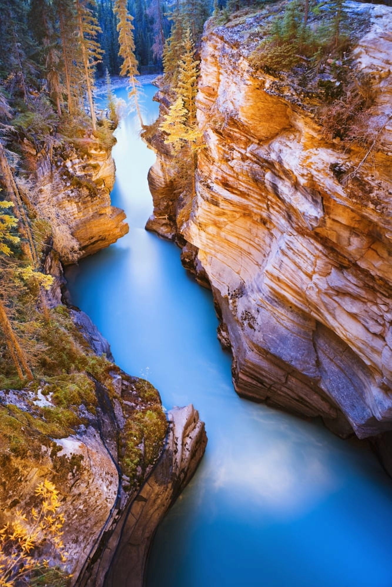 Athabasca Falls At Dusk Jasper National Park Alberta Canvas Art - Yves Marcoux Design Pics (22 x 34)