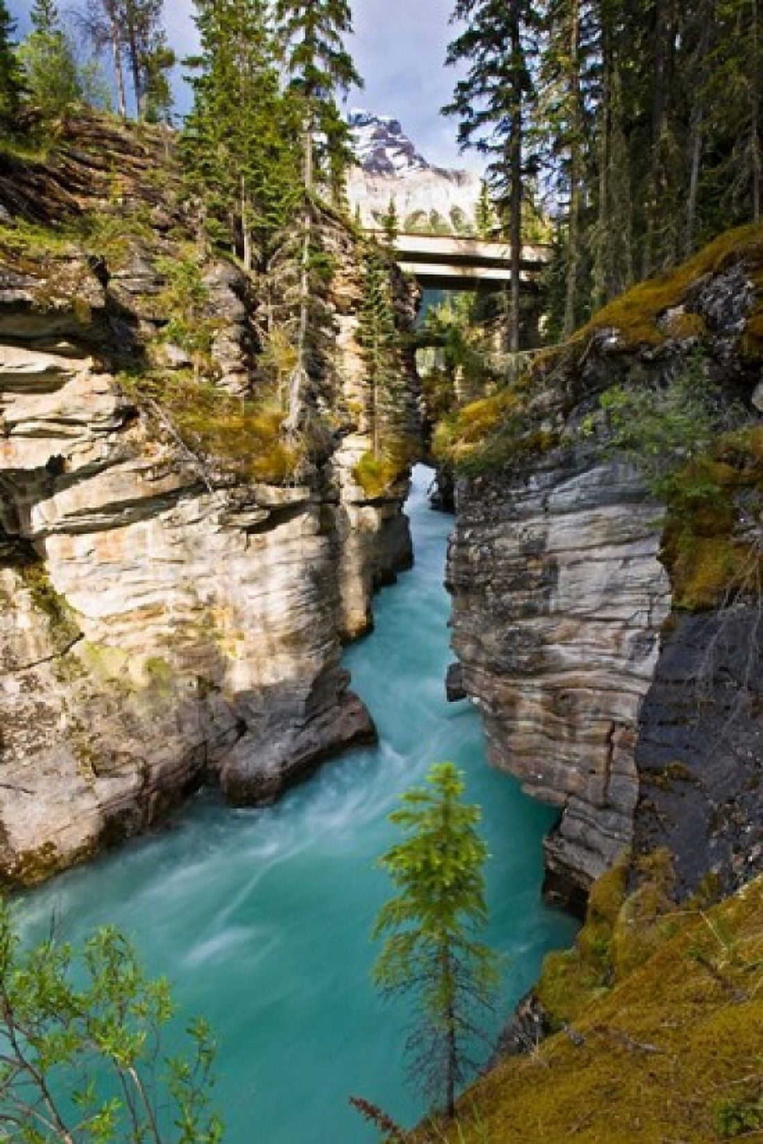 Athabasca Falls Jasper National Park Alberta Canada Canvas Art - Larry Ditto DanitaDelimont (18 x 26)