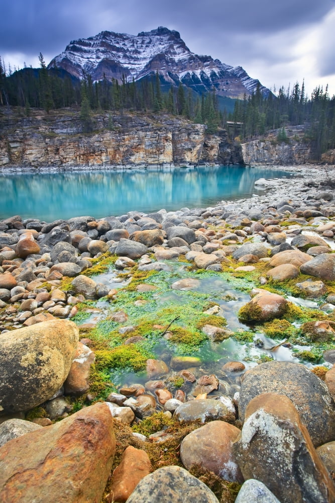 Athabasca River And Mount Kerkeslin At Athabasca Falls Jasper National Park Alberta Canvas Art - Ken Gillespie Design Pics (11 x 17)