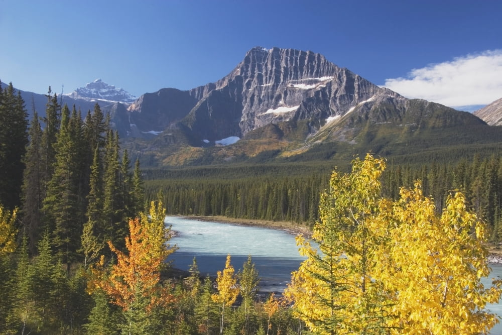 Athabasca River In Autumn Jasper National Park Alberta Canada Canvas Art - Michael Interisano Design Pics (38 x 24)