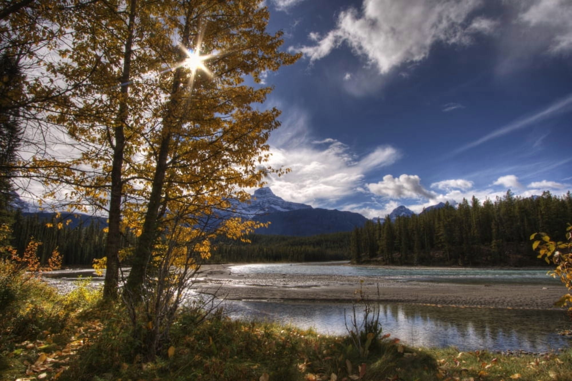 Athabasca River With Mount Fryatt In The Background Jasper National Park Alberta Canvas Art - Dan Jurak Design Pics (17 x 11)