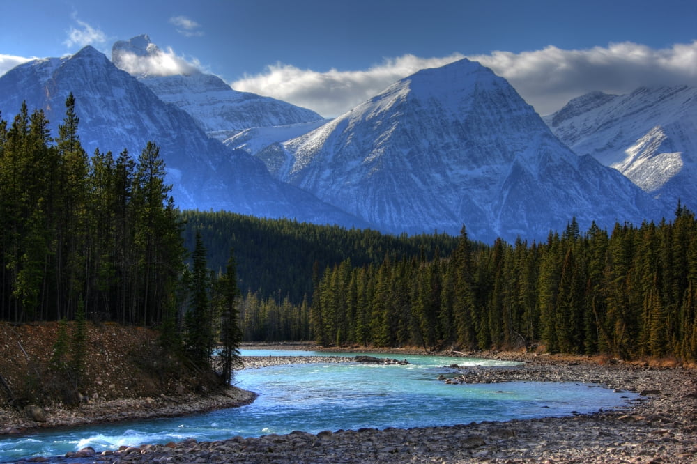 Athabaska River Along The Columbia Icefields Parkway Jaspser National Park Alberta Canvas Art - Robert Postma Design Pics (17 x 11)