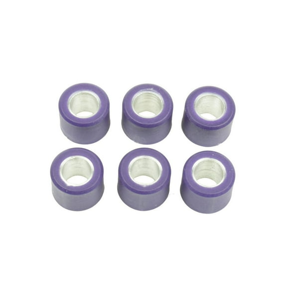 Athena 16x13mm Clutch Variator Roller Kit 6-Pack (S41000030P091)